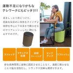 画像5: 自宅トレーニング バランスワン フィットネスチェア「ワブリー」 (5)