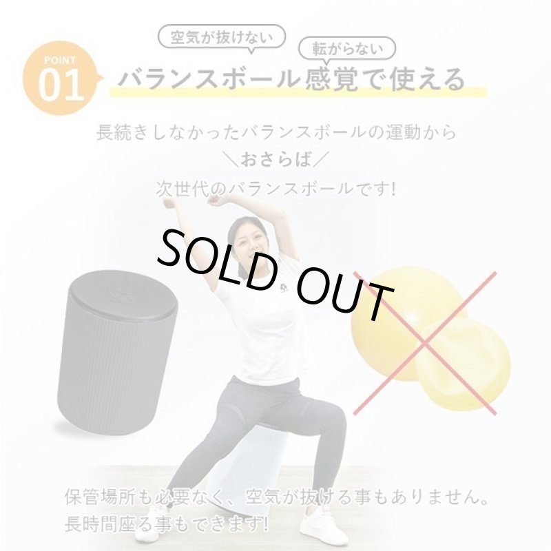 画像2: 自宅トレーニング バランスワン フィットネスチェア「ワブリー」 (2)