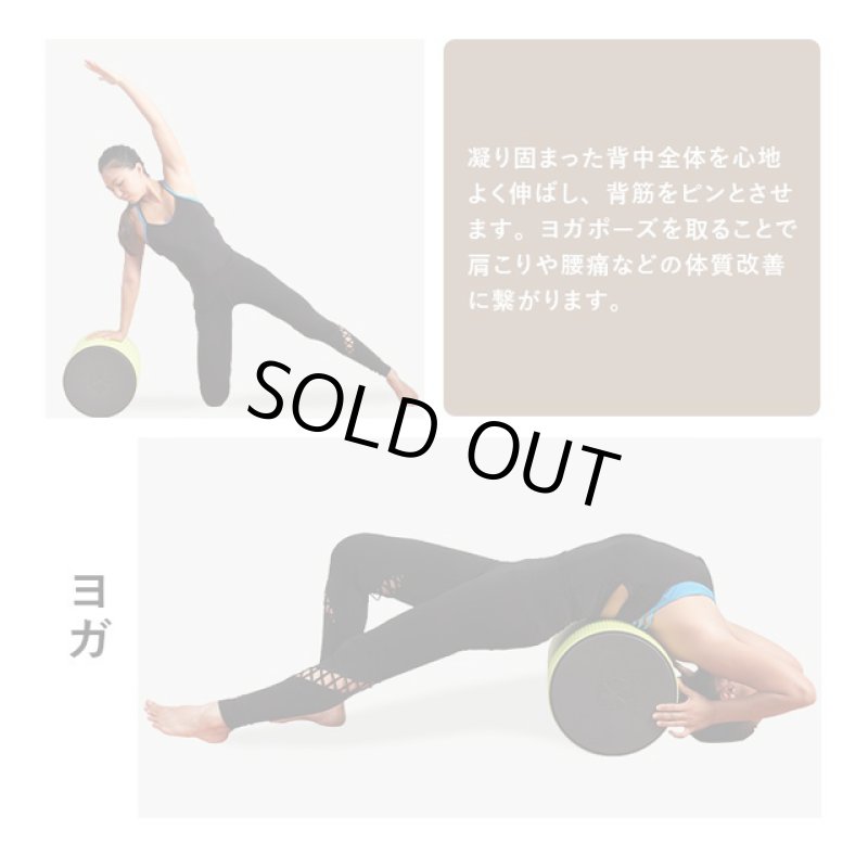 画像12: 自宅トレーニング バランスワン フィットネスチェア「ワブリー」 (12)