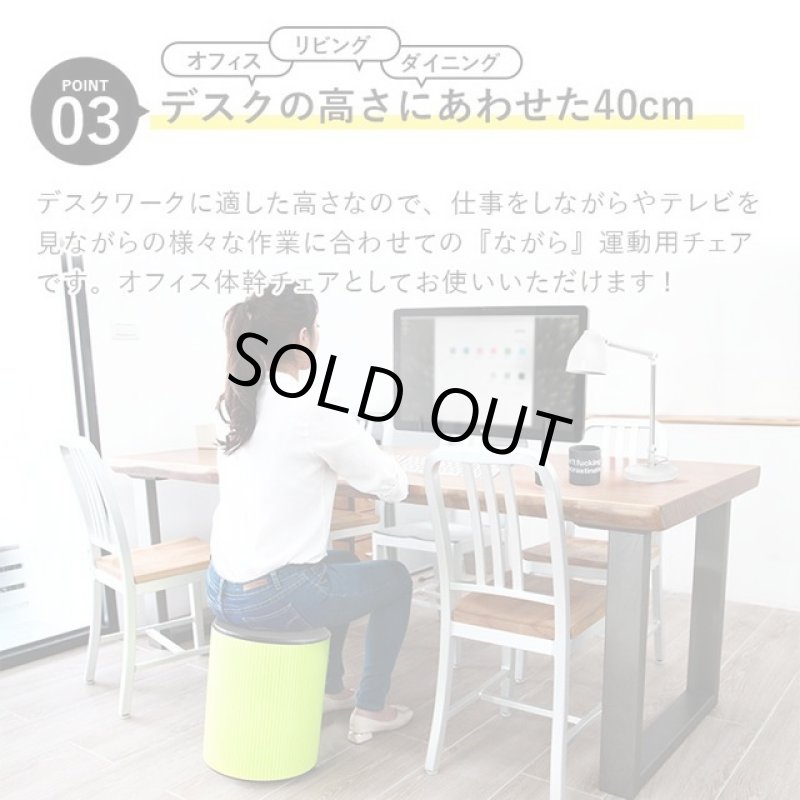 画像6: 自宅トレーニング バランスワン フィットネスチェア「ワブリー」 (6)