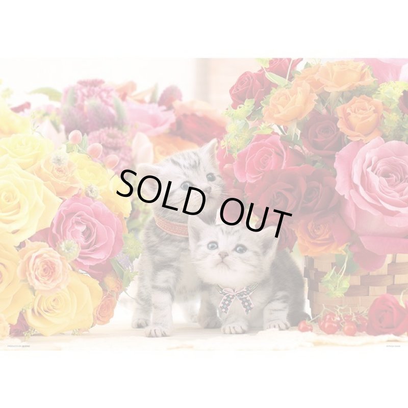 画像2: ジグソーアニマルシリーズ「薔薇に囲まれて」フレームセット(600P) (2)