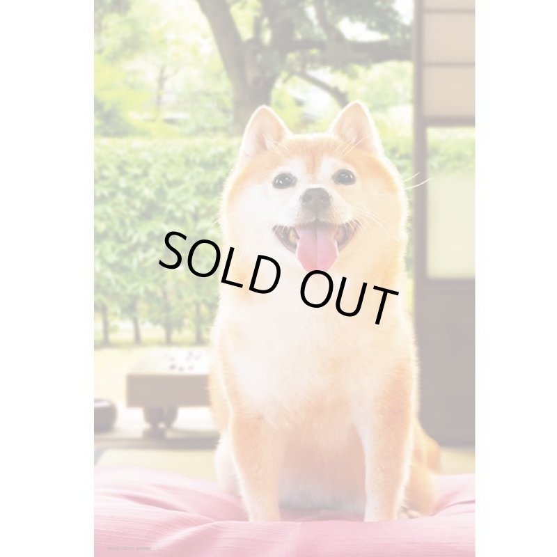 画像2: ジグソーアニマルシリーズ「さんぽ行く?」フレームセット(300P) (2)