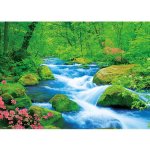 画像2: ジグソー日本の風景「奥入瀬渓流」フレームセット（600P） (2)