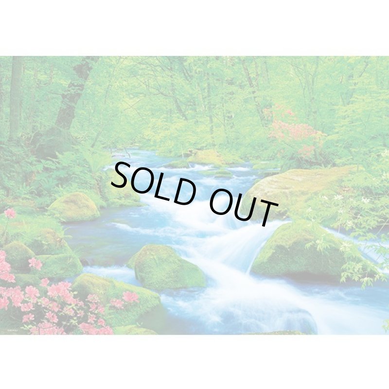 画像2: ジグソー日本の風景「奥入瀬渓流」フレームセット(600P) (2)