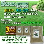 画像4: 一年中青々とした憧れの芝生の庭！NEWカナダグリーン[3パック/推奨計60平方M分] (4)