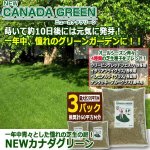 画像1: 一年中青々とした憧れの芝生の庭！NEWカナダグリーン[3パック/推奨計60平方M分] (1)