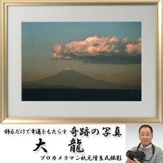 幸運をもたらす奇跡の写真「感謝」FRM-PHT20