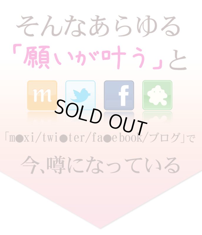 画像4: ココペリトートバッグ (4)