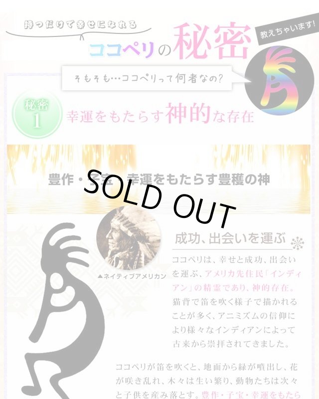 画像8: ココペリトートバッグ (8)