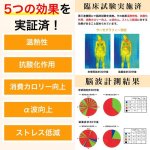 画像11: スポーツ選手御用達！アンクルバンド「ABAND」（両足用） (11)