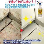 画像4: 最強に落ちるんです！業務用輝きが戻るカビ取りジェル500ml[1本] (4)