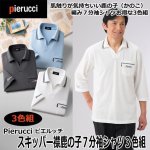 画像1: Pierucci（ピエルッチ）スキッパー襟鹿の子７分袖シャツ3色組 (1)