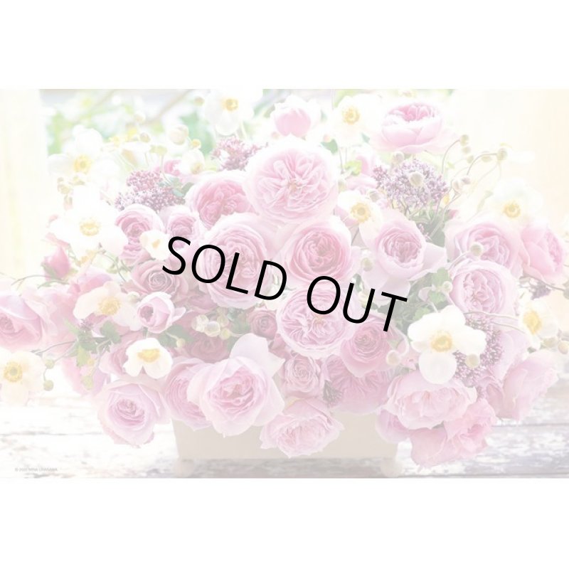 画像2: ジグソーフラワーシリーズ「プリマヴェーラ」300Pフレーム(白)セット (2)