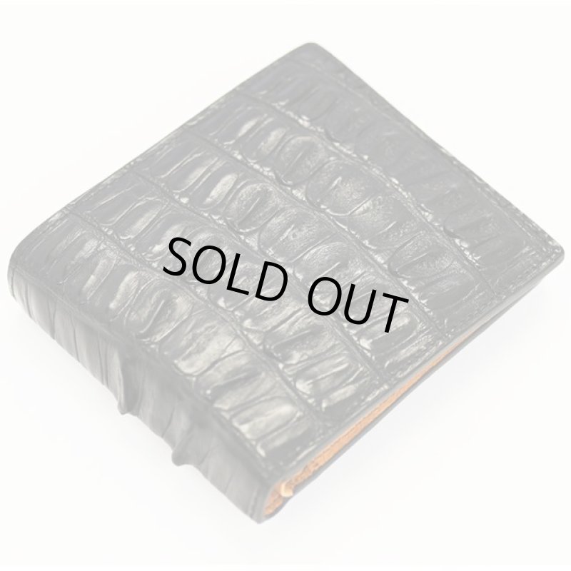 画像5: BORN TORUNカイマン2つ折り財布 (5)