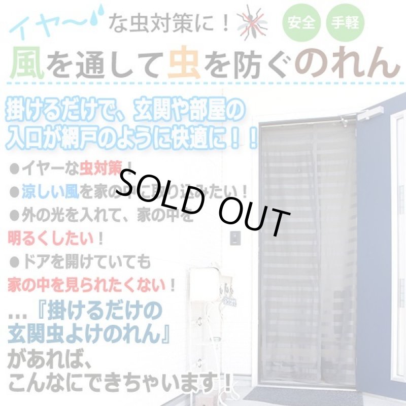 画像2: 風が通る!家の中が見えない!掛けるだけの玄関虫よけのれん (2)