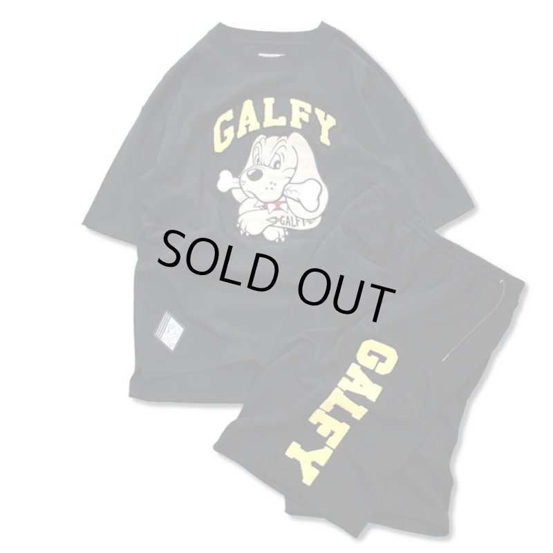 画像10: GALFYガルフィー「わんわん大学SETUPあの夏」 (10)