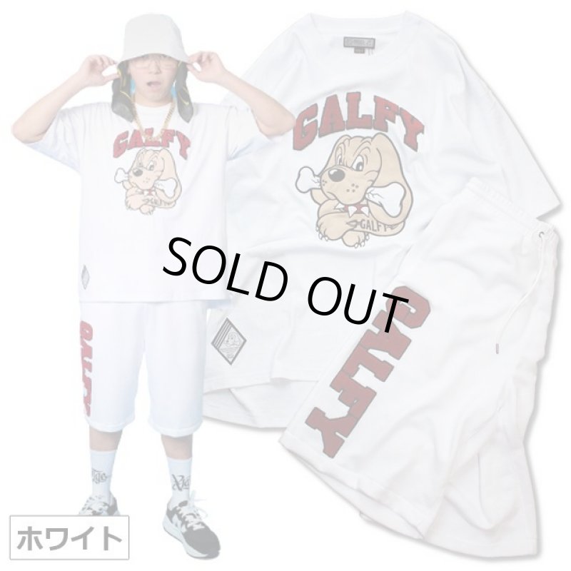 画像3: GALFYガルフィー「わんわん大学SETUPあの夏」 (3)