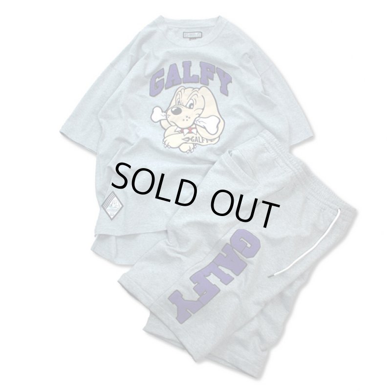 画像12: GALFYガルフィー「わんわん大学SETUPあの夏」 (12)