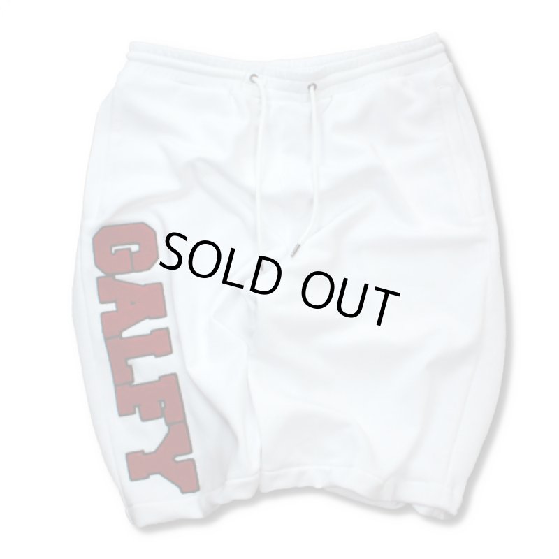 画像5: GALFYガルフィー「わんわん大学SETUPあの夏」 (5)