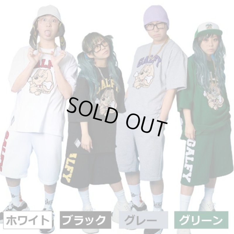 画像2: GALFYガルフィー「わんわん大学SETUPあの夏」 (2)