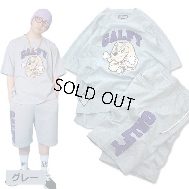 画像8: GALFYガルフィー「わんわん大学SETUPあの夏」 (8)