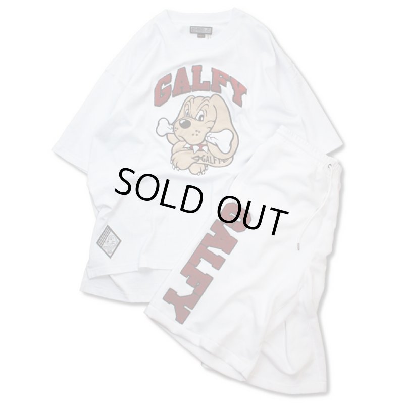 画像9: GALFYガルフィー「わんわん大学SETUPあの夏」 (9)