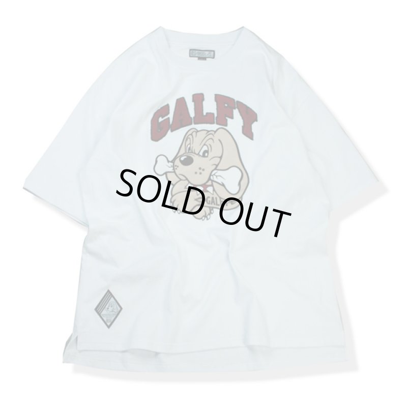 画像4: GALFYガルフィー「わんわん大学SETUPあの夏」 (4)