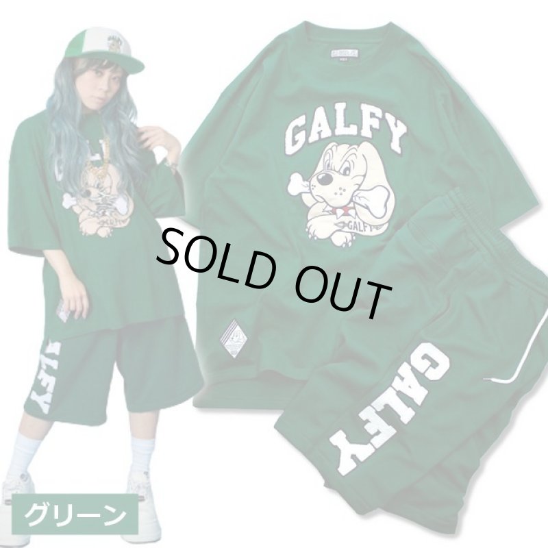 画像7: GALFYガルフィー「わんわん大学SETUPあの夏」 (7)