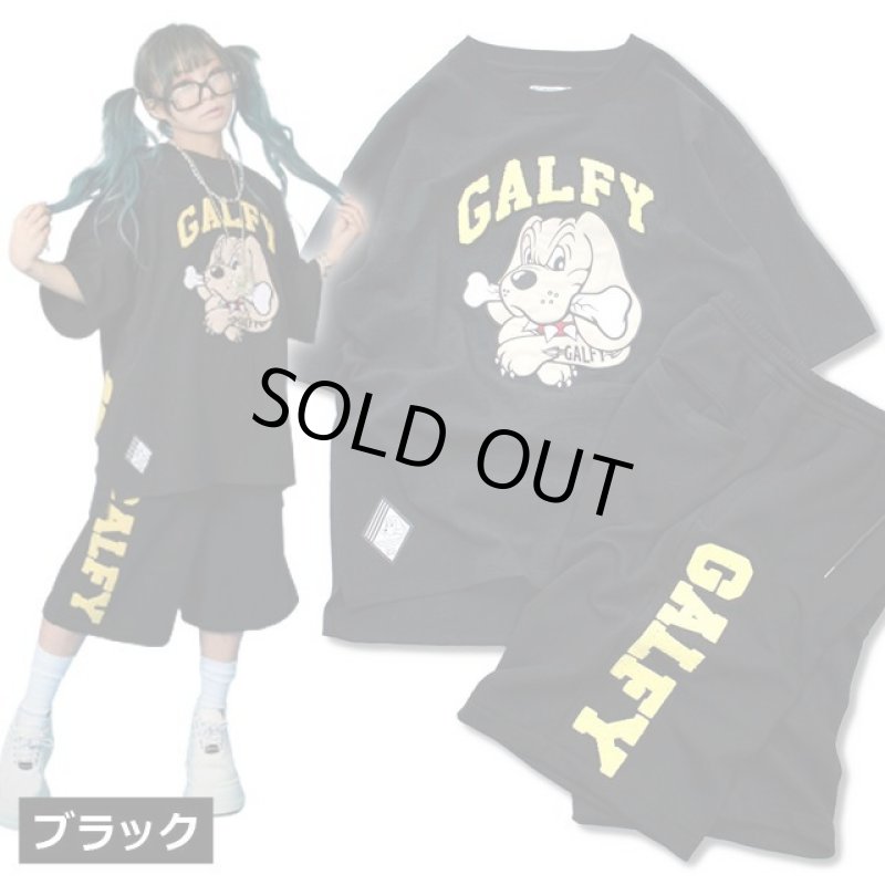 画像6: GALFYガルフィー「わんわん大学SETUPあの夏」 (6)