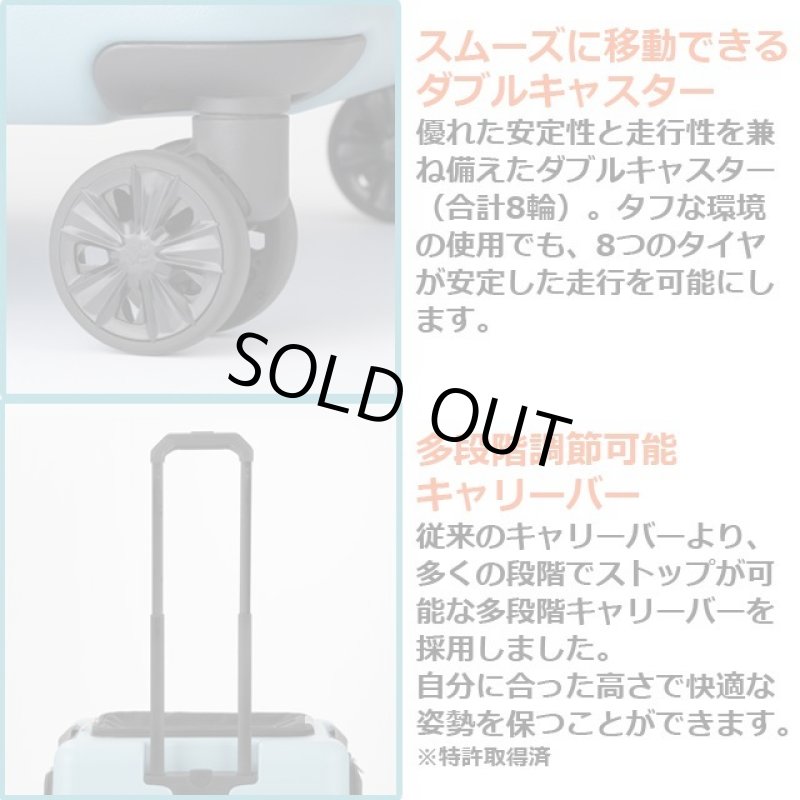 画像4: スーツケースメーカーが 作ったペットキャリー「PETICO3001／Ｌサイズ」 (4)