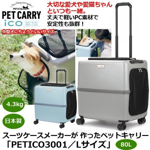 ※古着さん専用　スーツケースとベビーカーの 2-in-1 Amazon | [シュガー&ベイブ] SUGAR&BABE SUGAR&BABE Shine