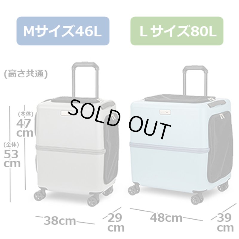 画像17: スーツケースメーカーが 作ったペットキャリー「PETICO3001／Ｌサイズ」 (17)