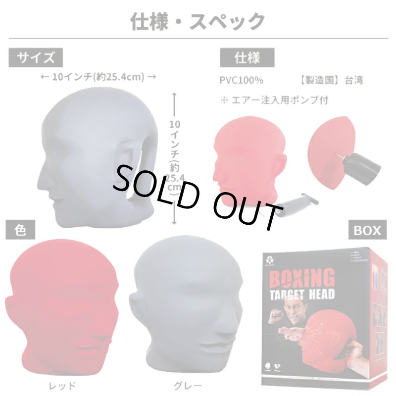 画像12: バランスワン 顔型パンチングミット (12)