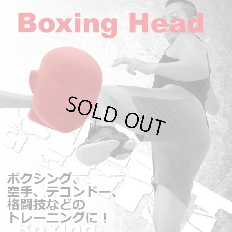 画像2: バランスワン 顔型パンチングミット (2)