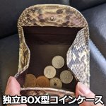 画像5: パイソンレザー二つ折り財布 (5)