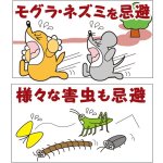 画像2: モグラパニックお得な3箱(15個入） (2)