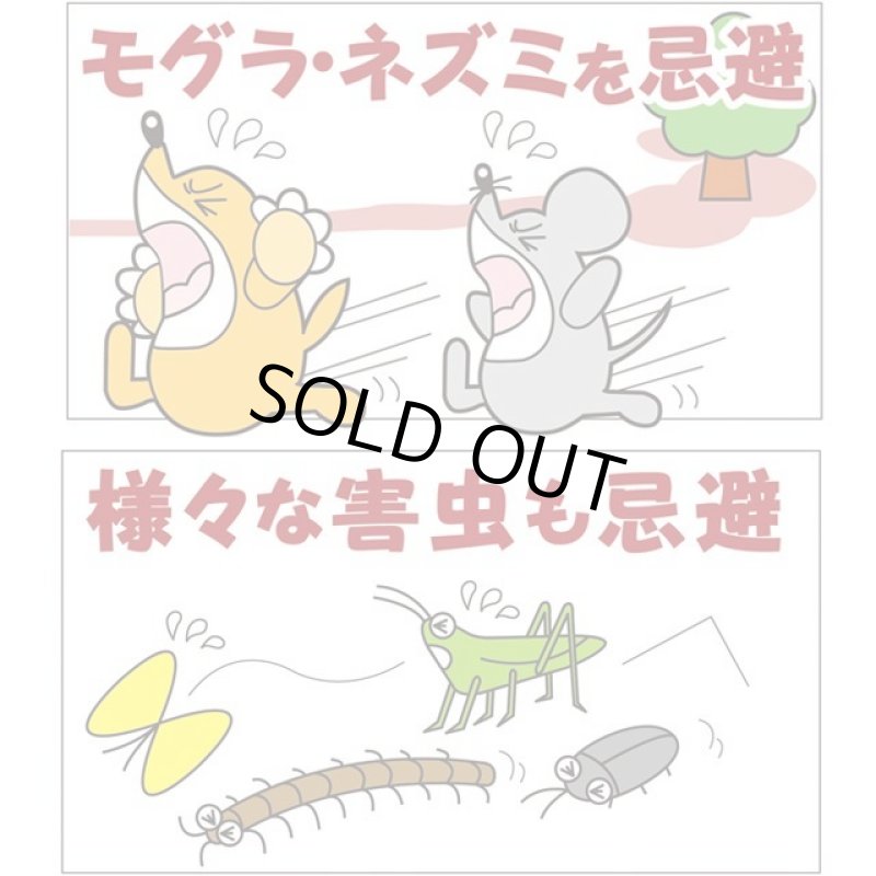 画像2: モグラパニック1箱(5個入) (2)