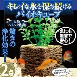 画像1: 水槽水を浄化し続ける！バイオキューブ[2点] (1)