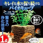 画像1: 水槽水を浄化し続ける！バイオキューブ[1点] (1)