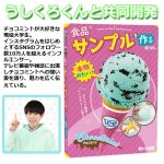 画像4: 触れる図鑑「食品サンプルを作るキット（チョコミントアイス）」 (4)