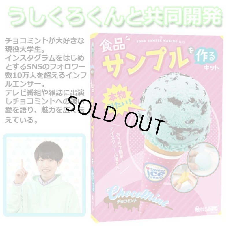 画像4: 触れる図鑑「食品サンプルを作るキット(チョコミントアイス)」 (4)