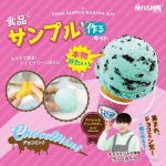 画像1: 触れる図鑑「食品サンプルを作るキット（チョコミントアイス）」 (1)