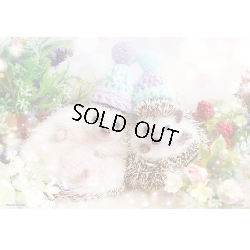 画像2: ジグソーアニマルシリーズ「あずきともなか」フレームセット(300P) (2)