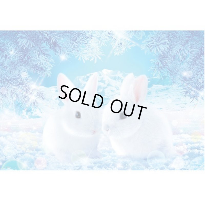 画像2: アートジグソー「ウィルファー／春待ちうさぎ」1000マイクロPフレームセット (2)