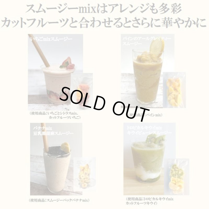 画像6: 高品質特殊冷凍食材アートロックフード「カットフルーツスムージーセット12パック」 (6)