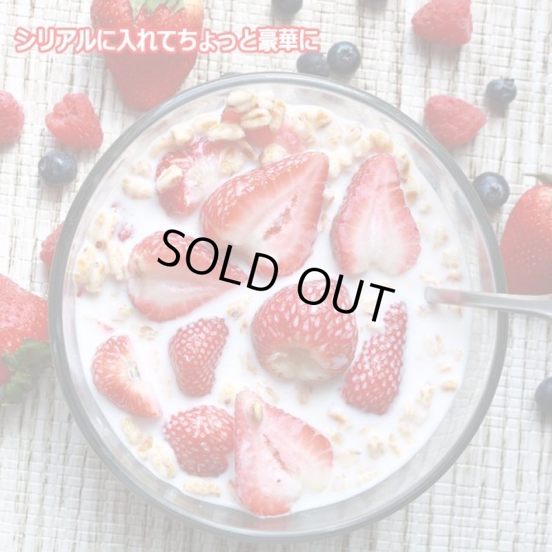 画像12: 高品質特殊冷凍食材アートロックフード「カットフルーツスムージーセット12パック」 (12)