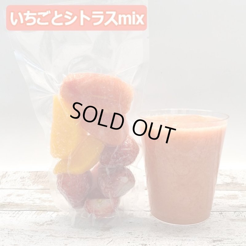 画像2: 高品質特殊冷凍食材アートロックフード「カットフルーツスムージーセット12パック」 (2)