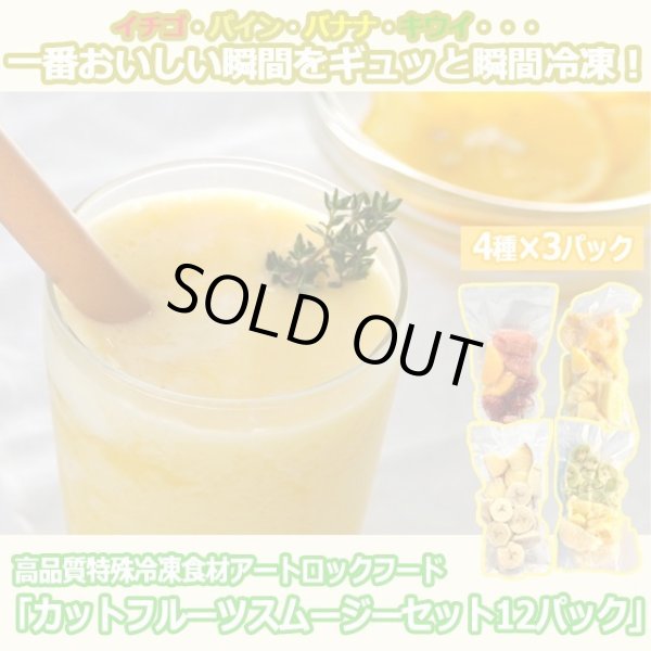 高品質特殊冷凍食材アートロックフード「カットフルーツ