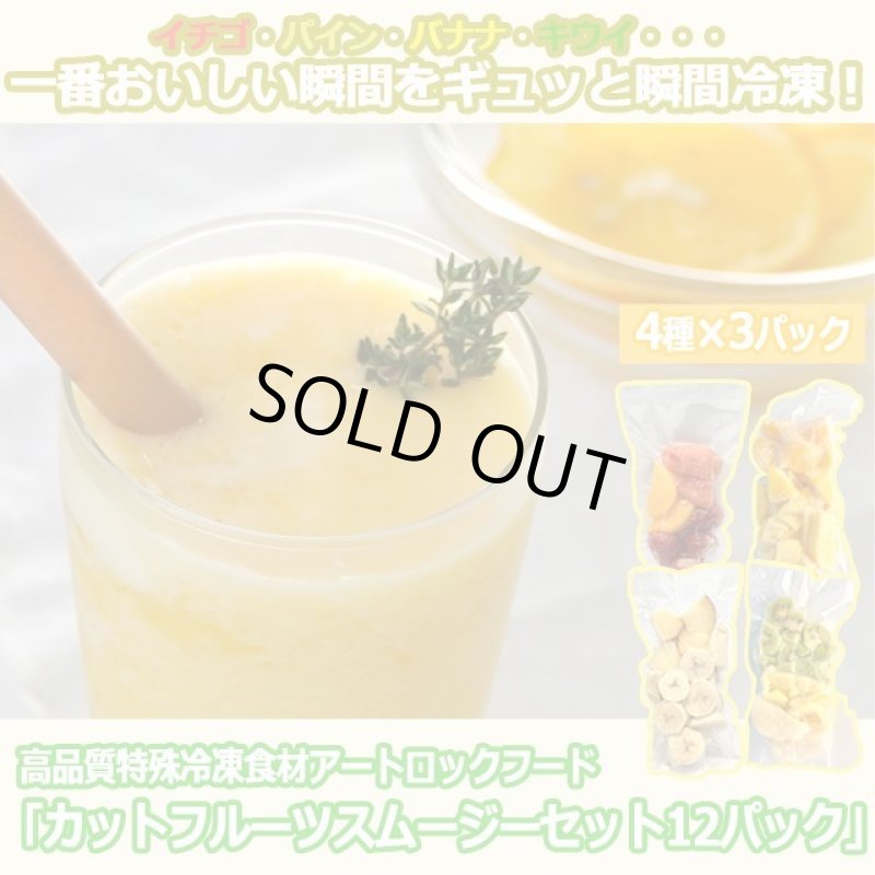 画像1: 高品質特殊冷凍食材アートロックフード「カットフルーツスムージーセット12パック」 (1)