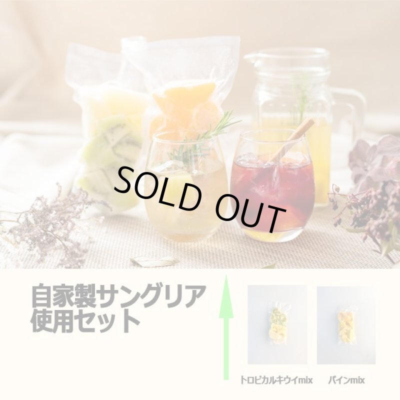 画像8: 高品質特殊冷凍食材アートロックフード「カットフルーツスムージーセット12パック」 (8)